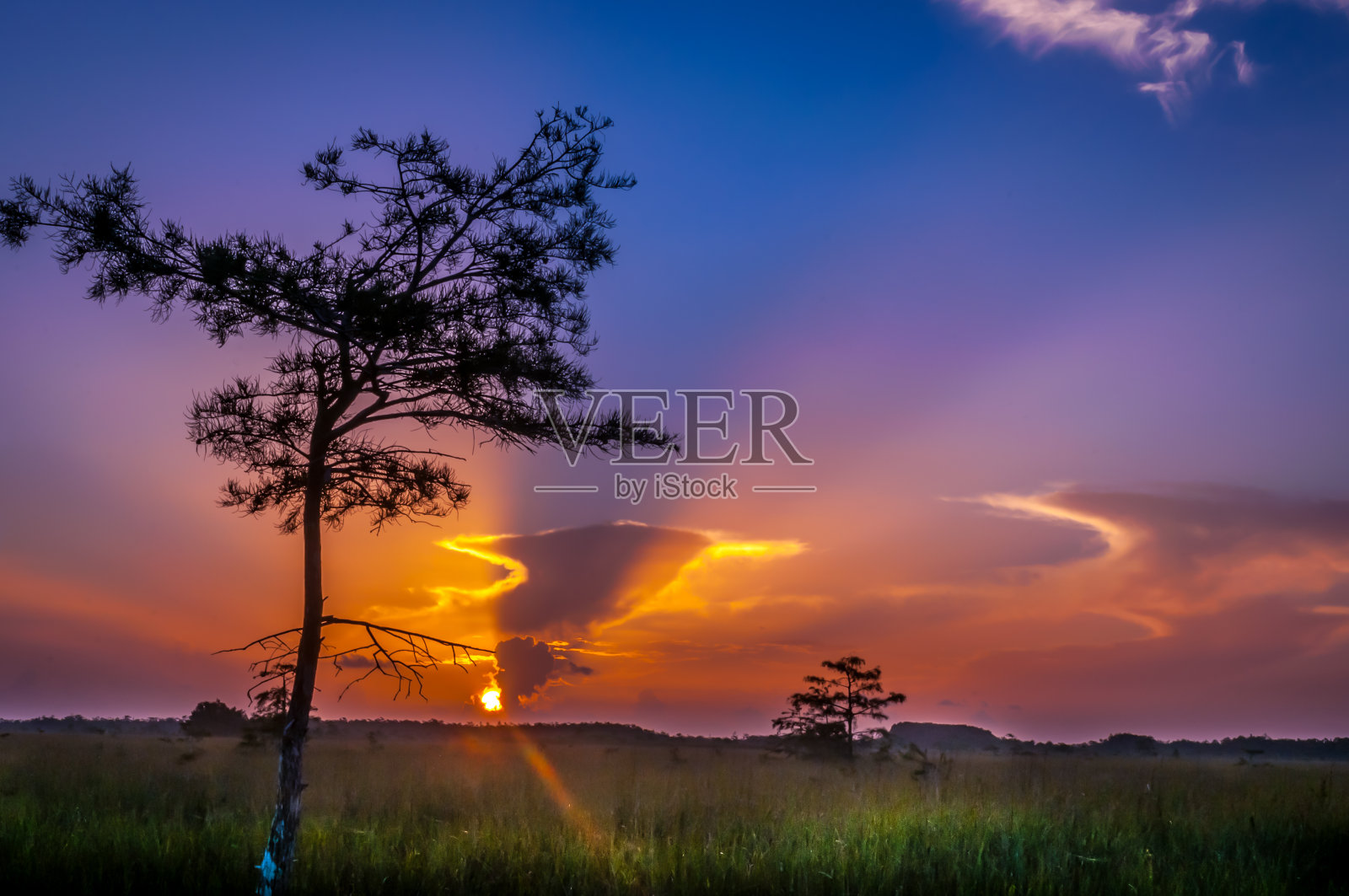 大沼泽地的日出照片摄影图片