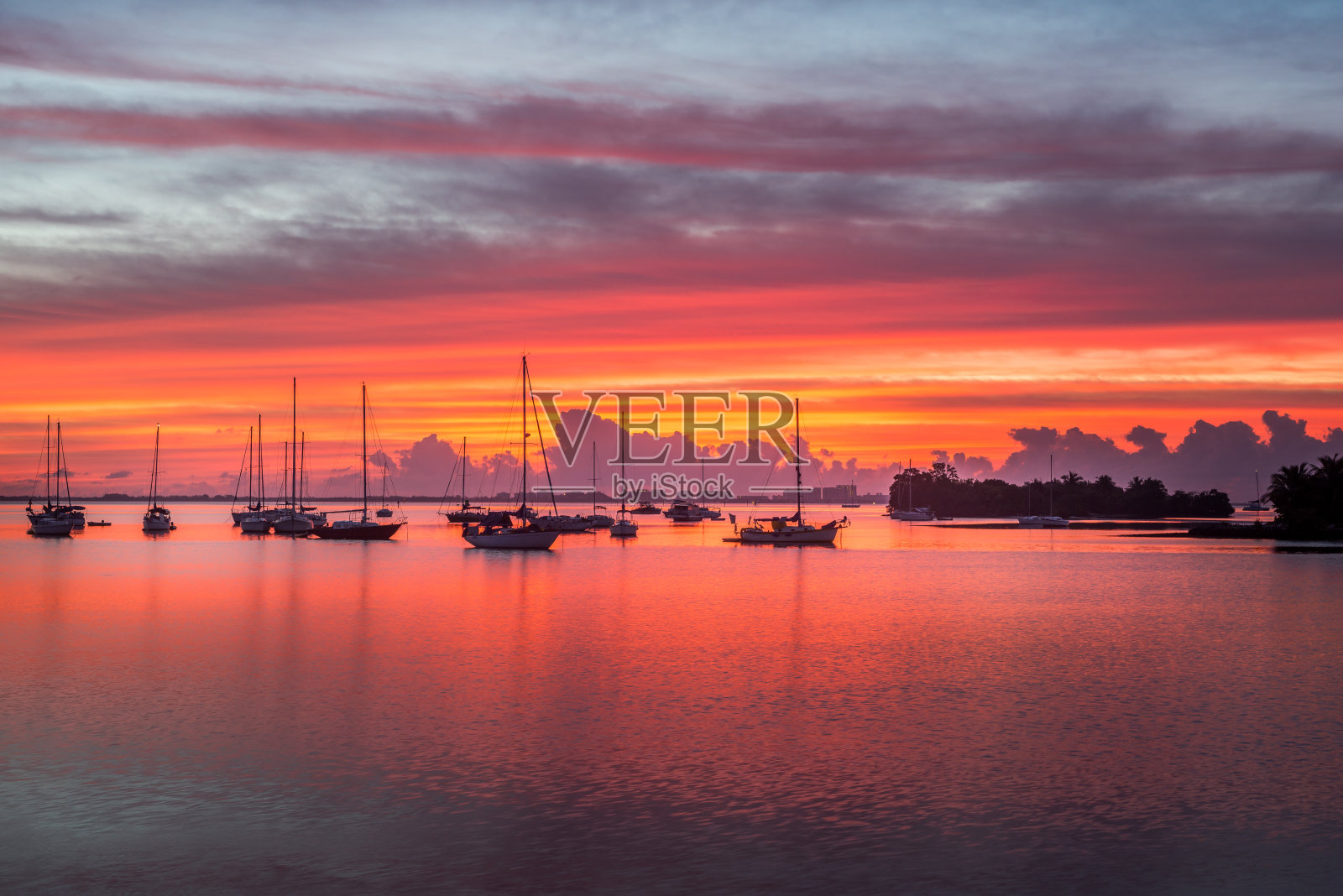 锚定在粉红色的照片摄影图片