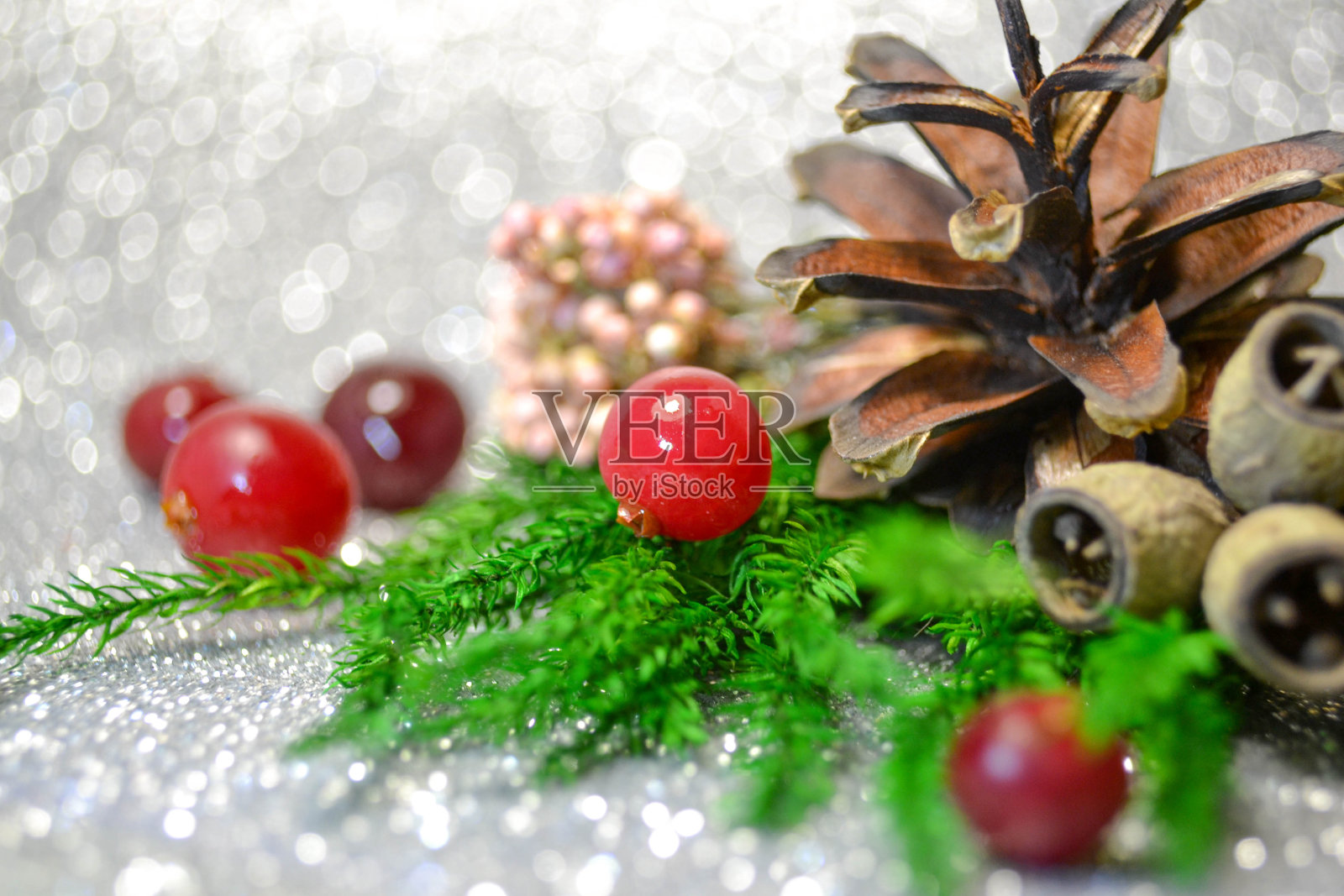 寒假节日特写镜头的概念。桉树果实，种子，果粒，蔓越莓，杉树照片摄影图片