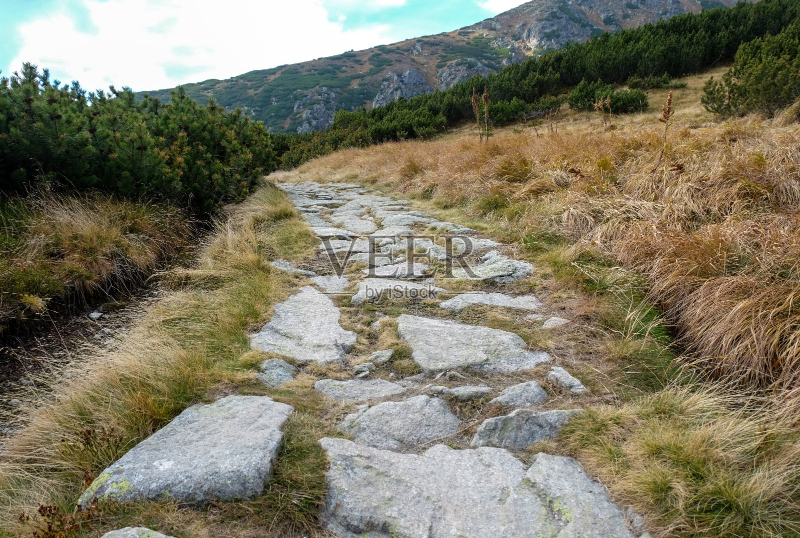 大冷谷在维索克塔特里(高塔特拉斯)，斯洛伐克。照片摄影图片