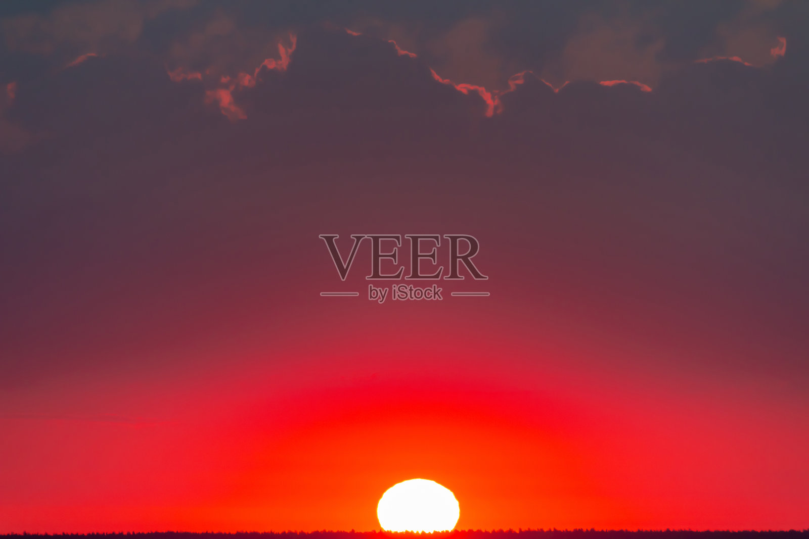 猩红的黎明笼罩着森林照片摄影图片