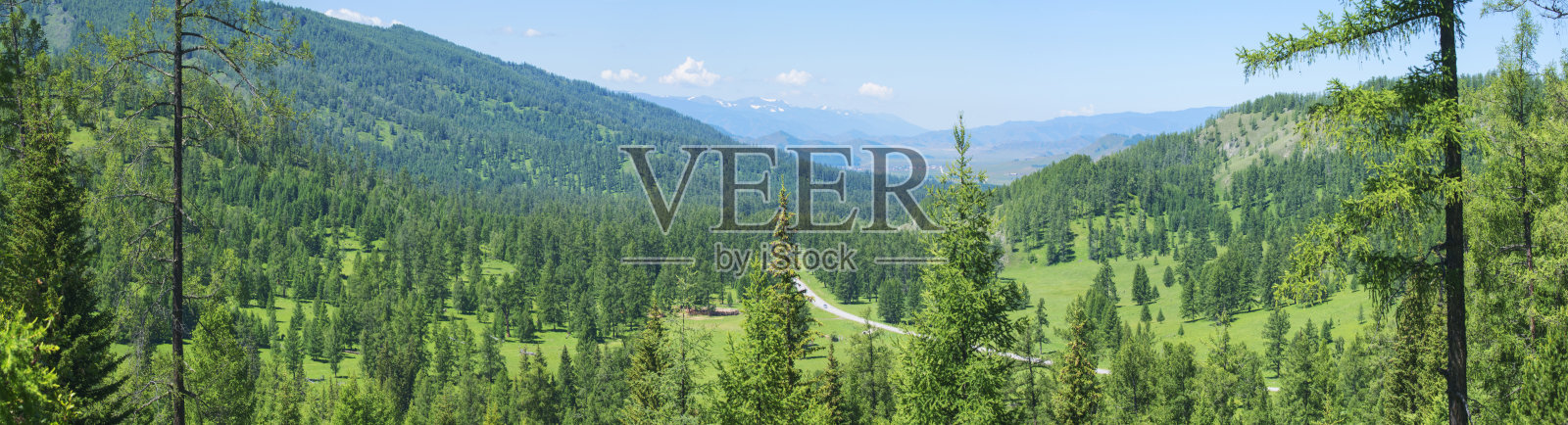 风景如画的山谷，全景山景。绿色的森林和草地。照片摄影图片