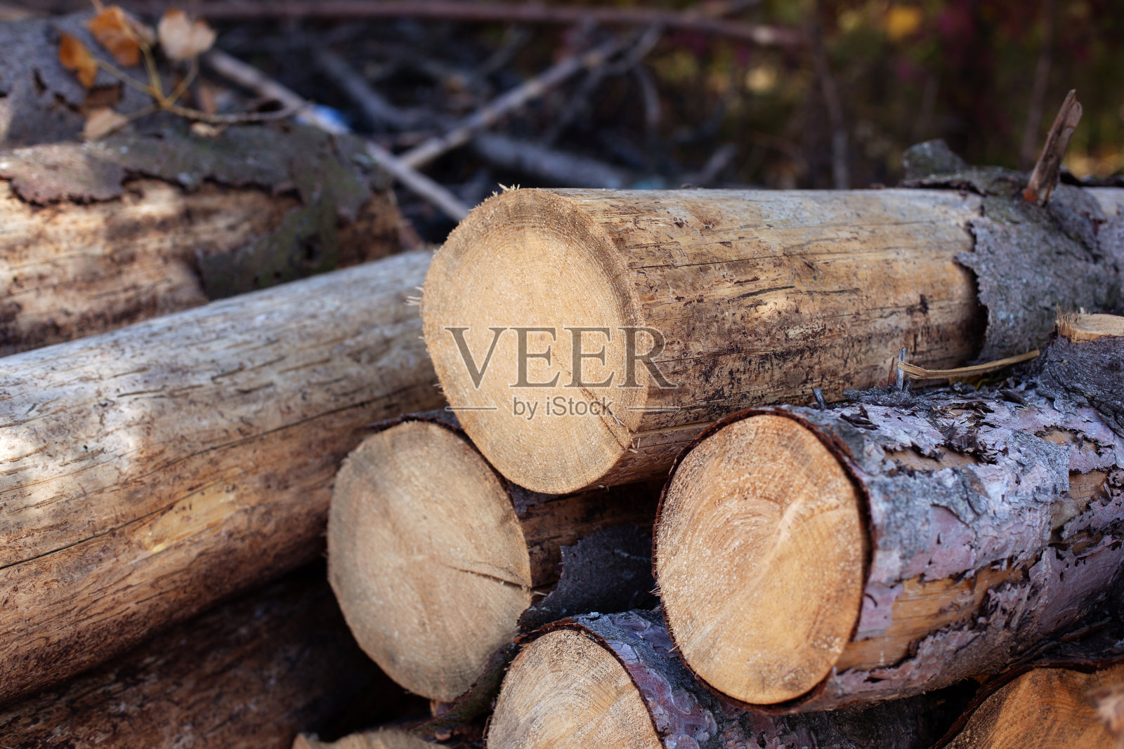 堆木柴，靠近点。原木树干桩，原木工业用材。为冬天储备木材。一堆劈开的柴火。背景纹理。一堆锯过的原木。很多砍过的木头。照片摄影图片