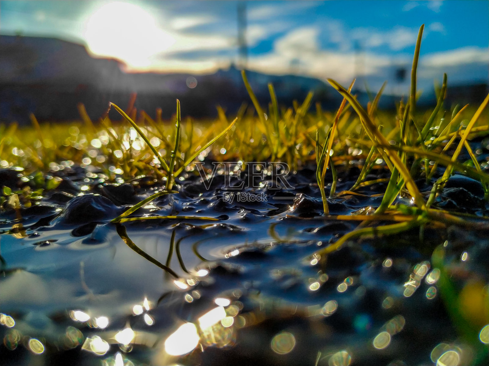 天上的草照片摄影图片