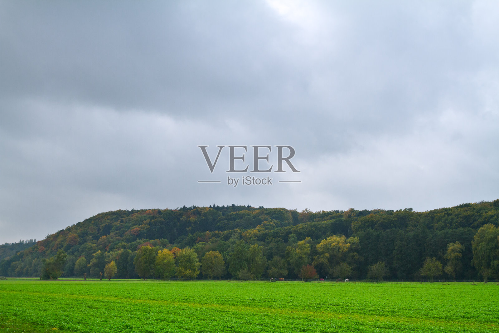 在穆尔海姆萨恩的鲁尔山谷阴沉沉的秋天天空照片摄影图片