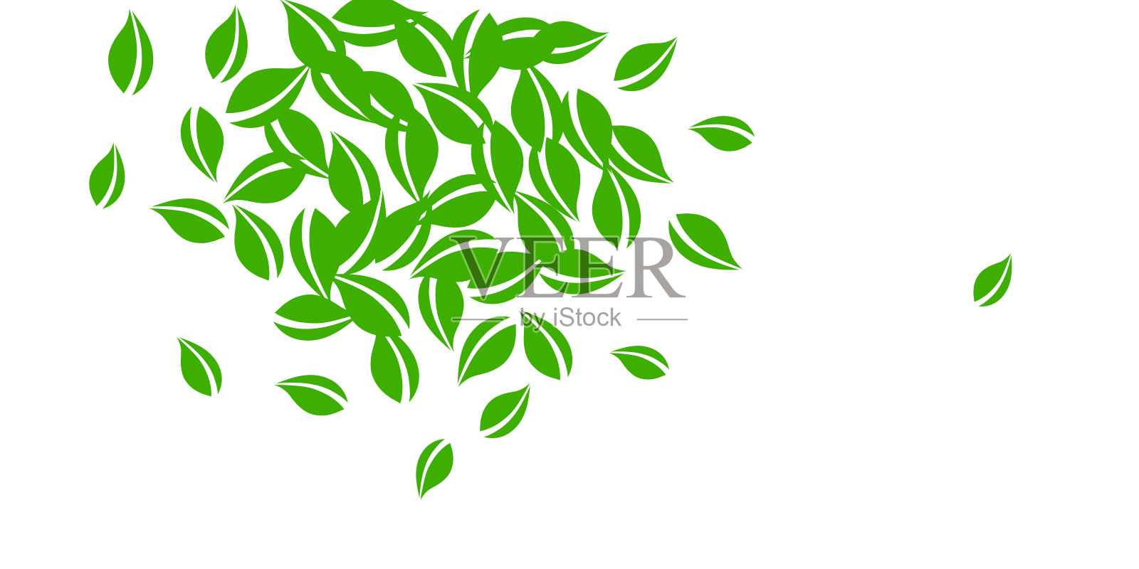 飘落的绿叶。茶叶新鲜整齐，叶子飞扬插画图片素材