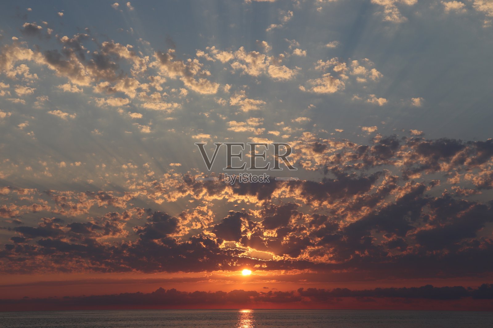 美丽的海照片摄影图片