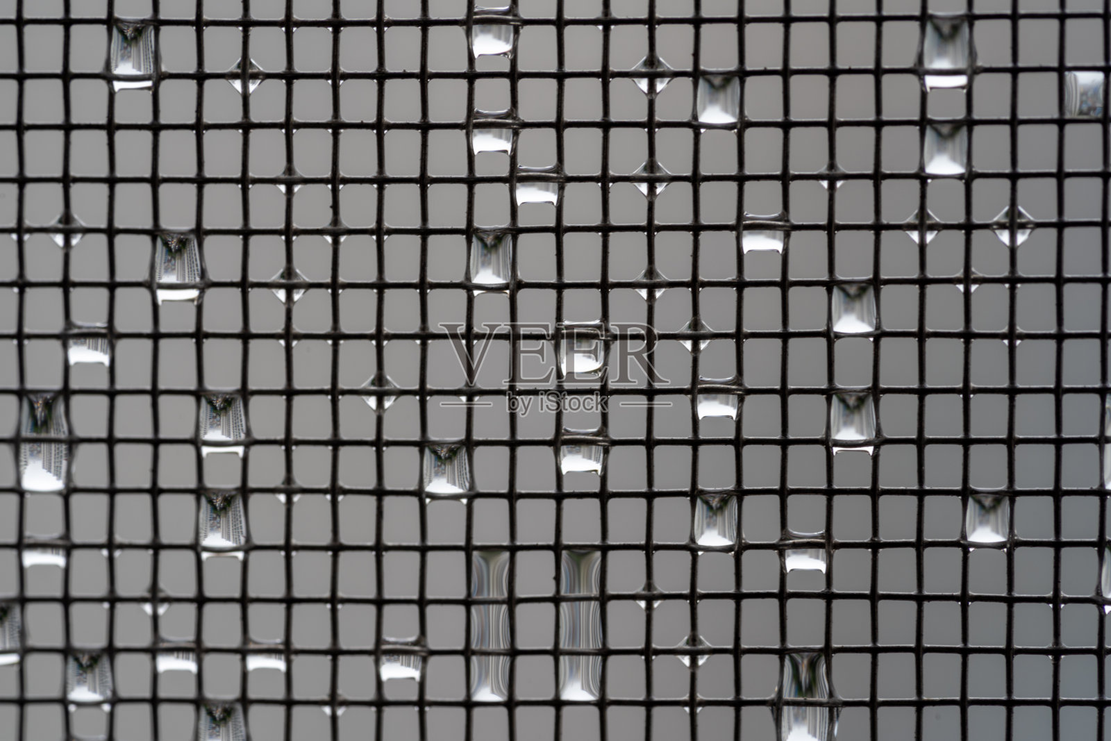 雨滴落在窗格子上照片摄影图片