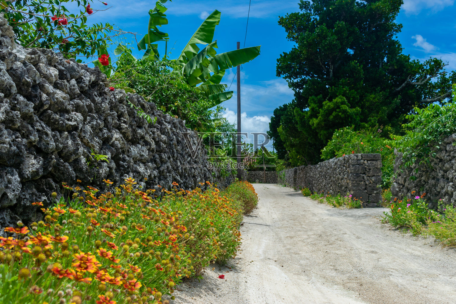日本冲绳县竹富岛尘土飞扬的街道照片摄影图片