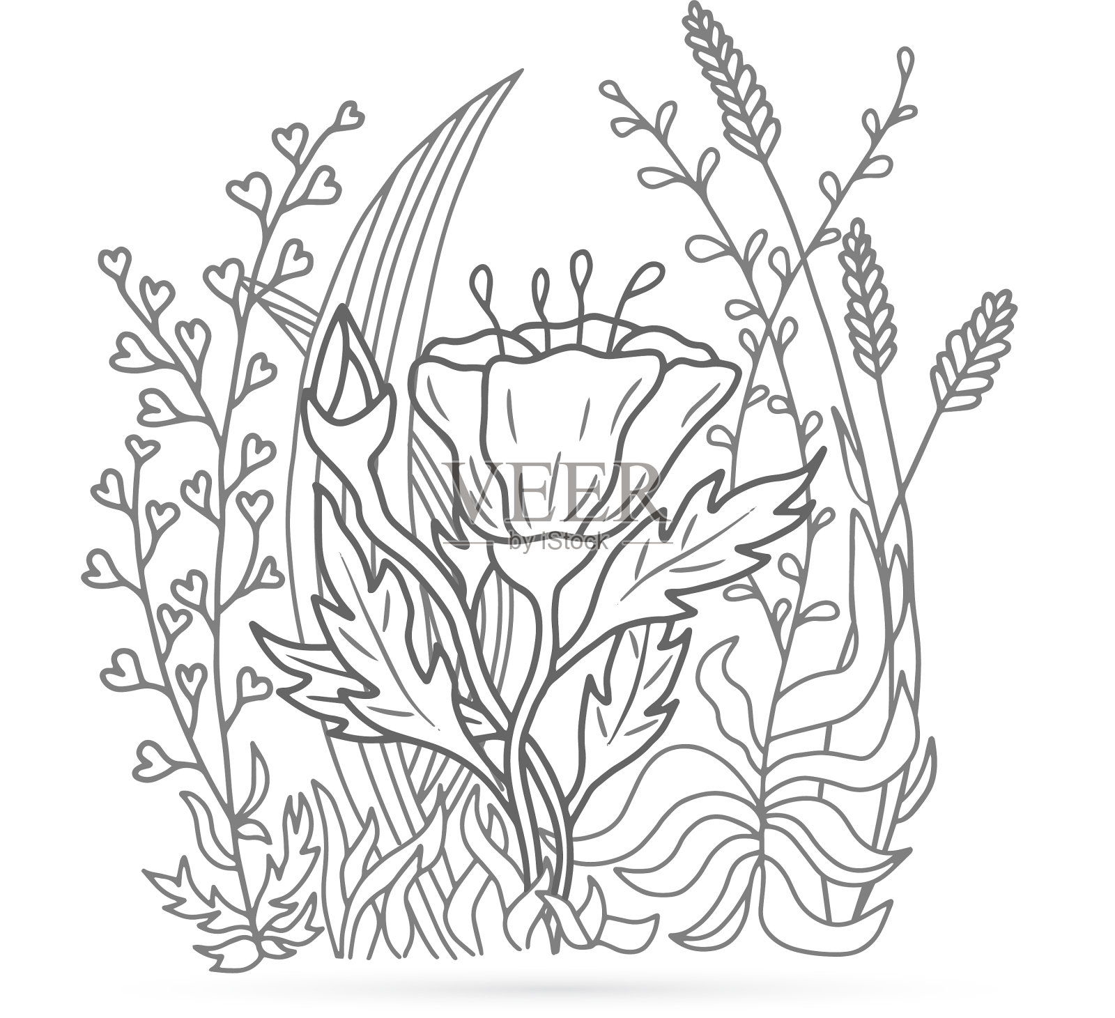 涂色涂鸦罂粟牧羊人袋钉插画图片素材