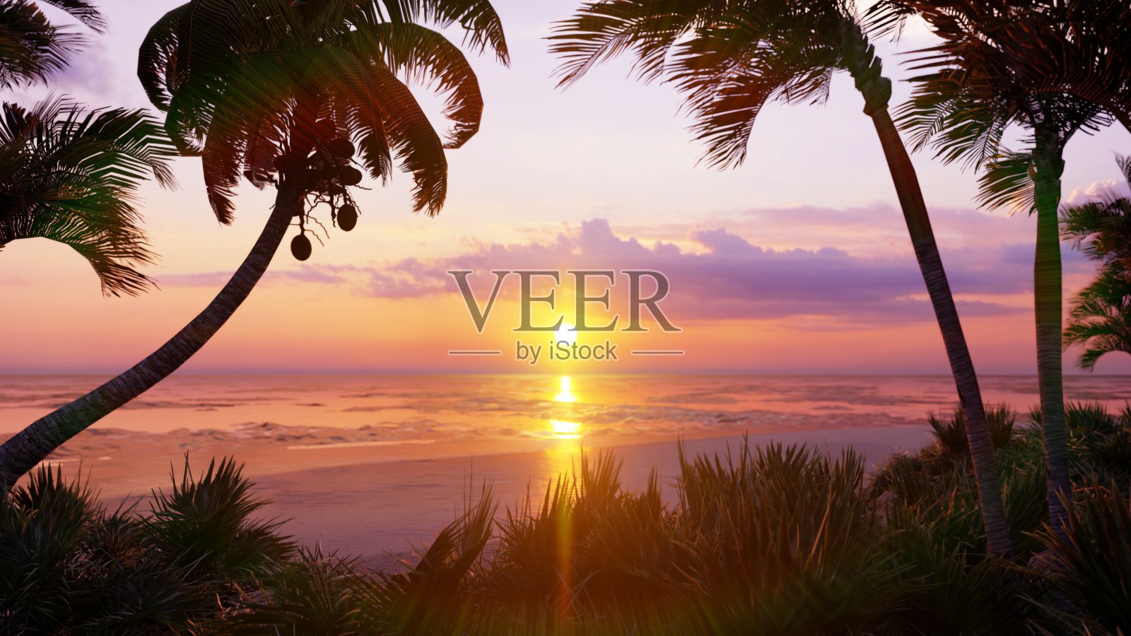 无边无际的海洋上美丽的日落。蓝色的天空，黄色的太阳，棕榈树，无尽的海洋和海景。夏天，美丽的日落在海边。三维渲染照片摄影图片