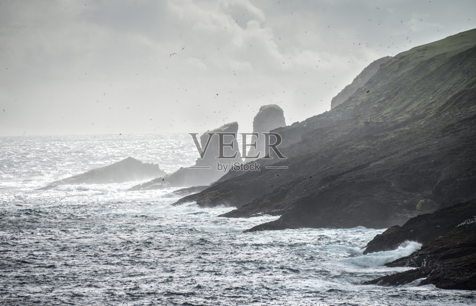 鸟儿在迈肯斯岛的海岸线上成群结队照片摄影图片