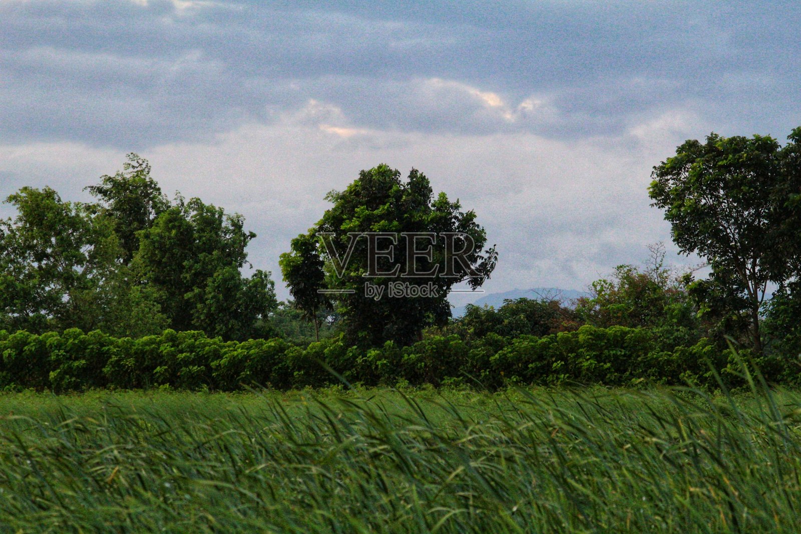天空视图照片摄影图片