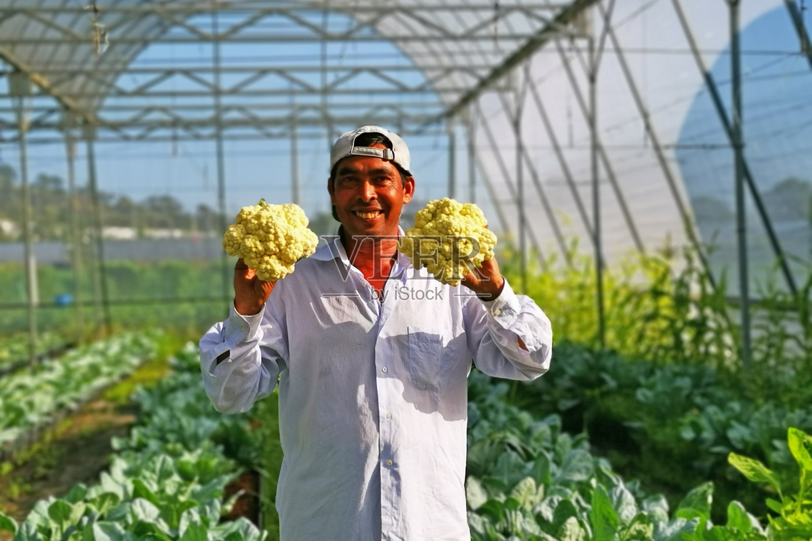 肖像-真正的农民照片摄影图片