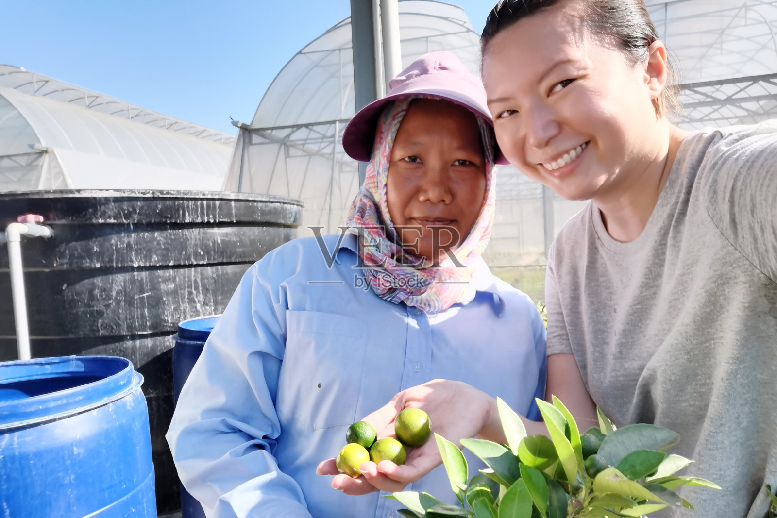 肖像-真正的农民照片摄影图片