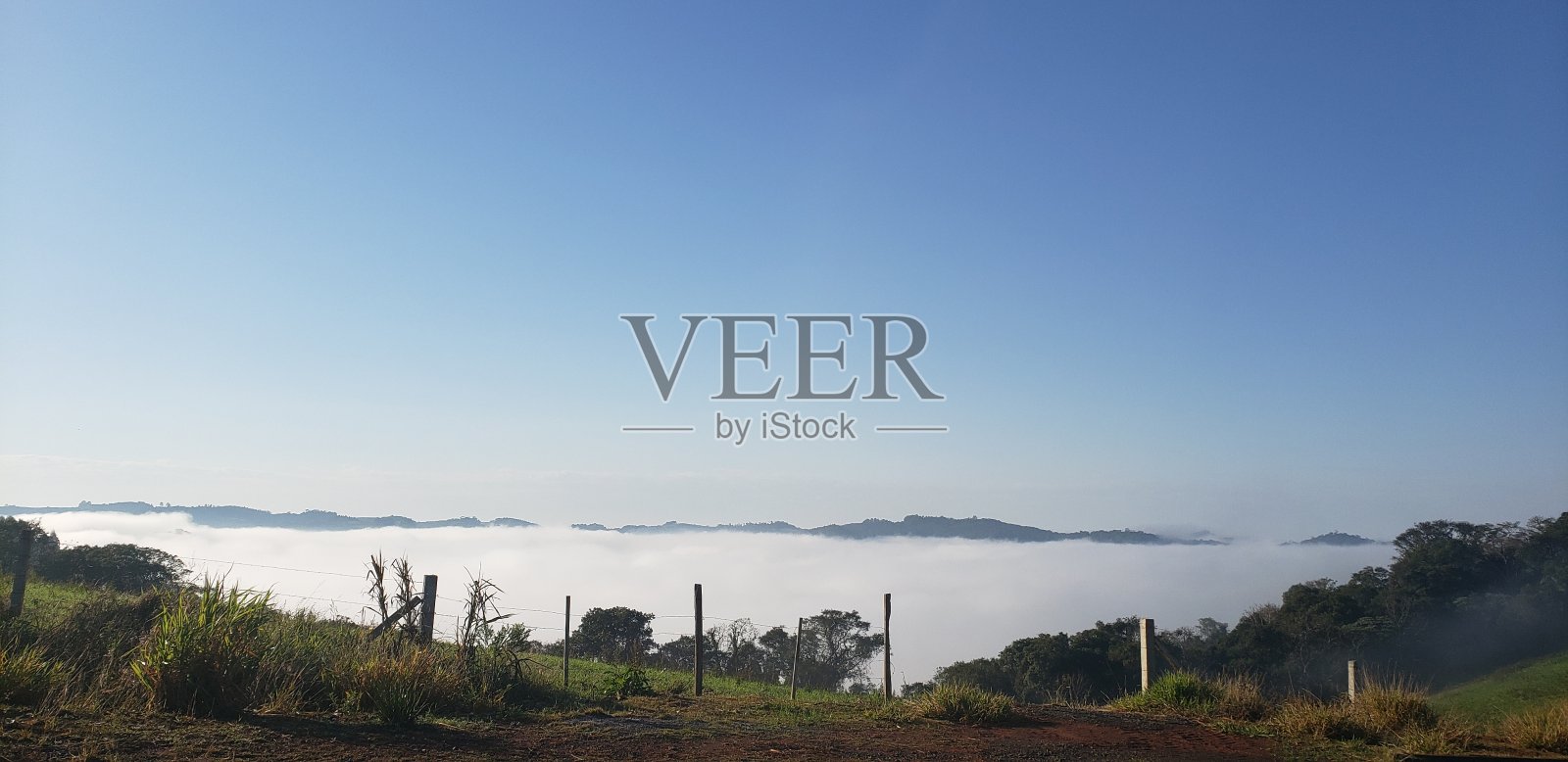 雾照片摄影图片