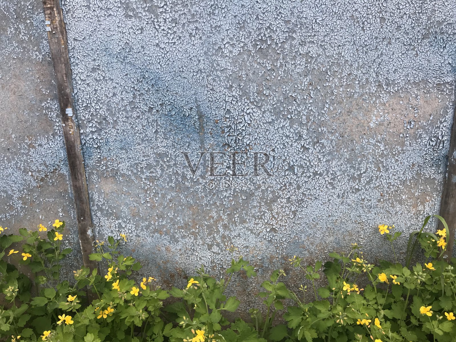 蓝色的木板背景，古老的木画，有趣的蓝色纹理照片摄影图片