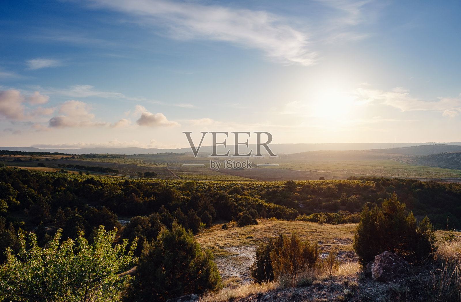 绿色山谷景观。夏天自然景观。照片摄影图片