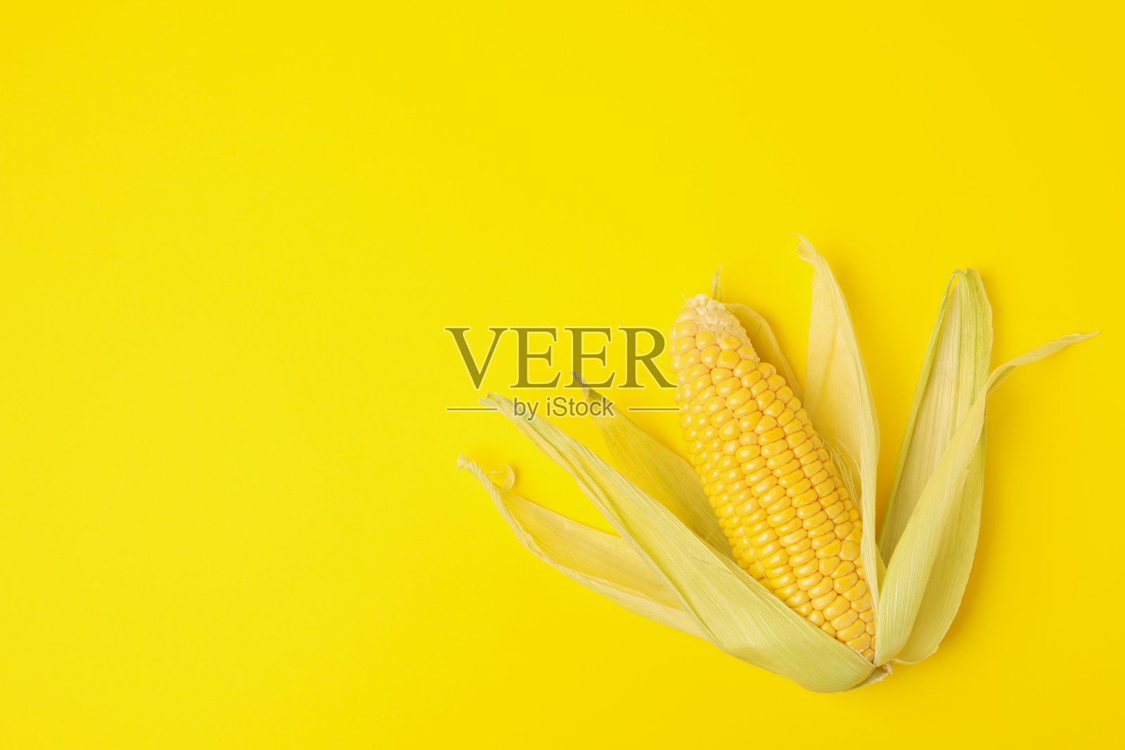 黄色背景上的新鲜生玉米俯视图照片摄影图片