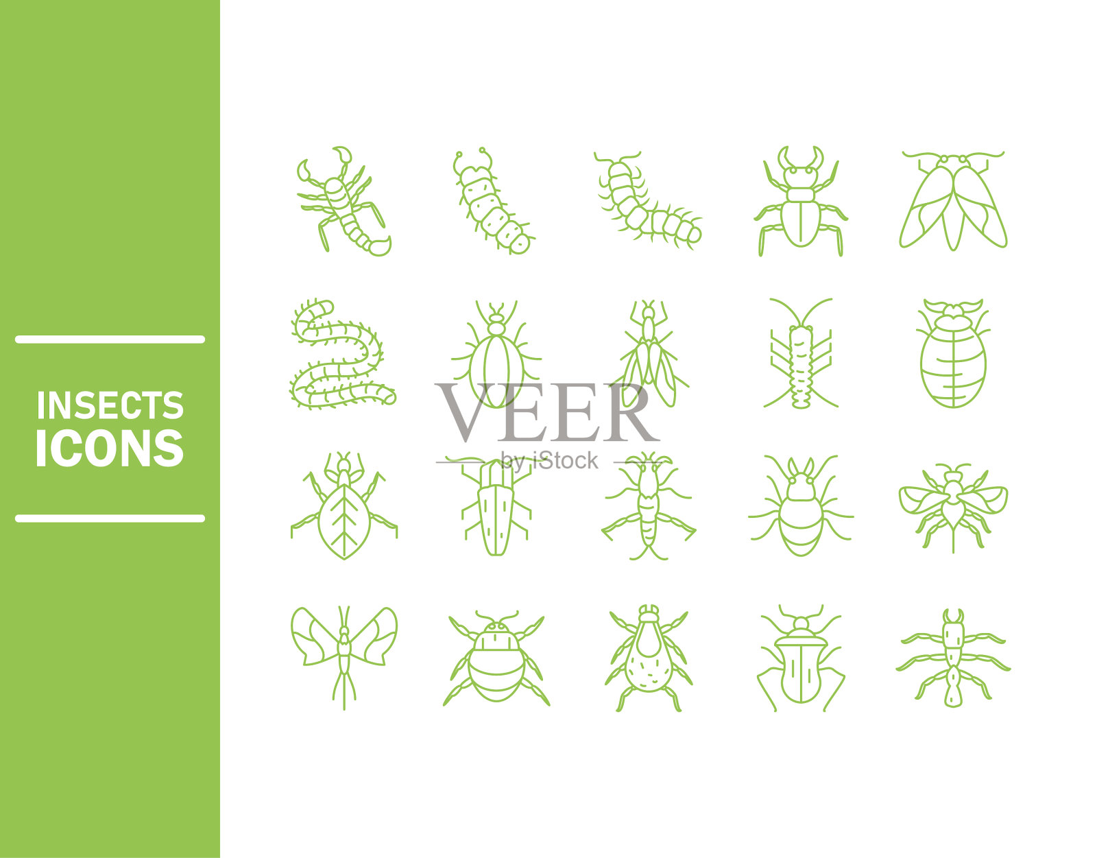 昆虫图标设置在白色背景线细节图标素材