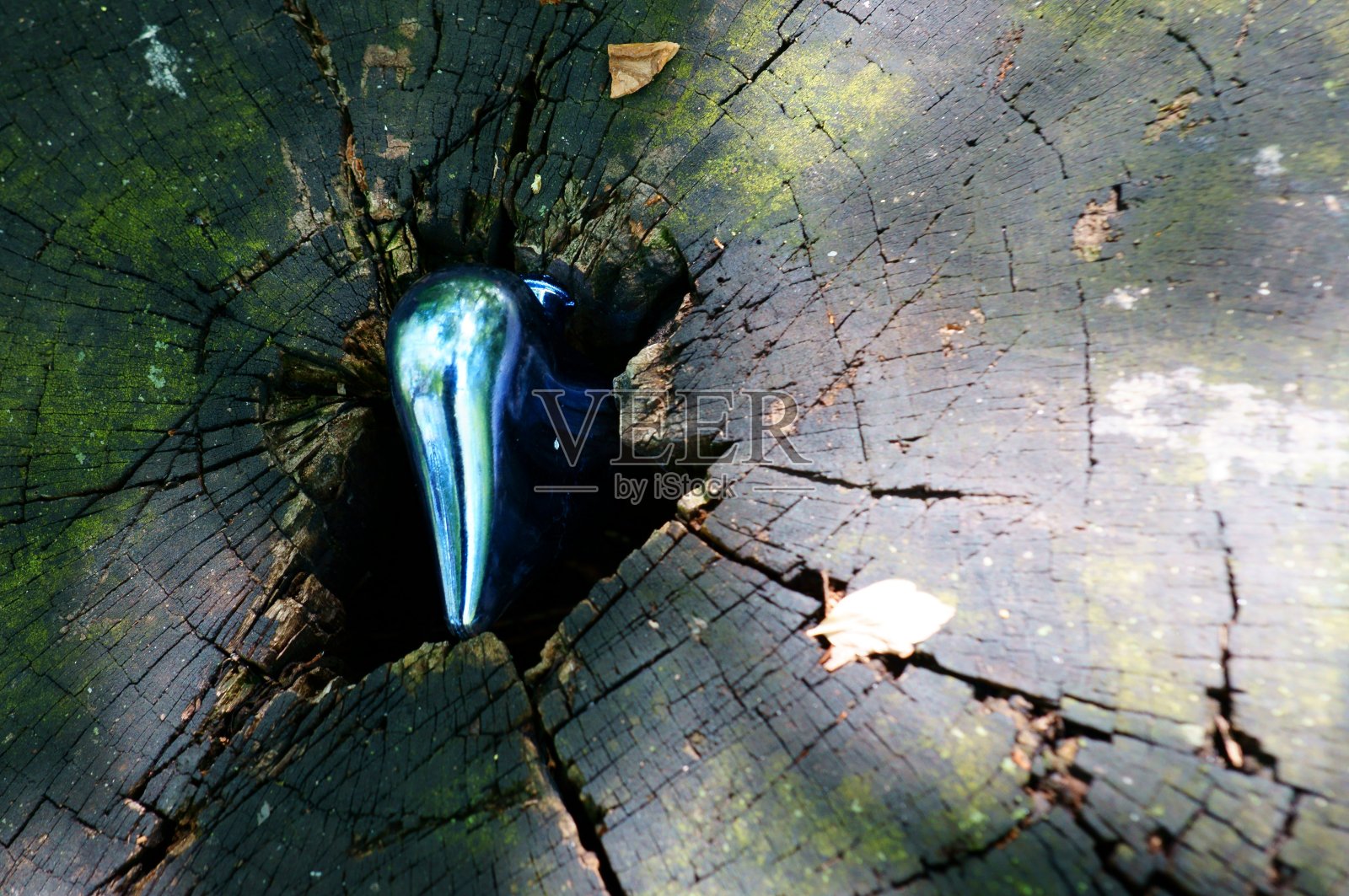 绿色背景上的蓝色心。照片摄影图片