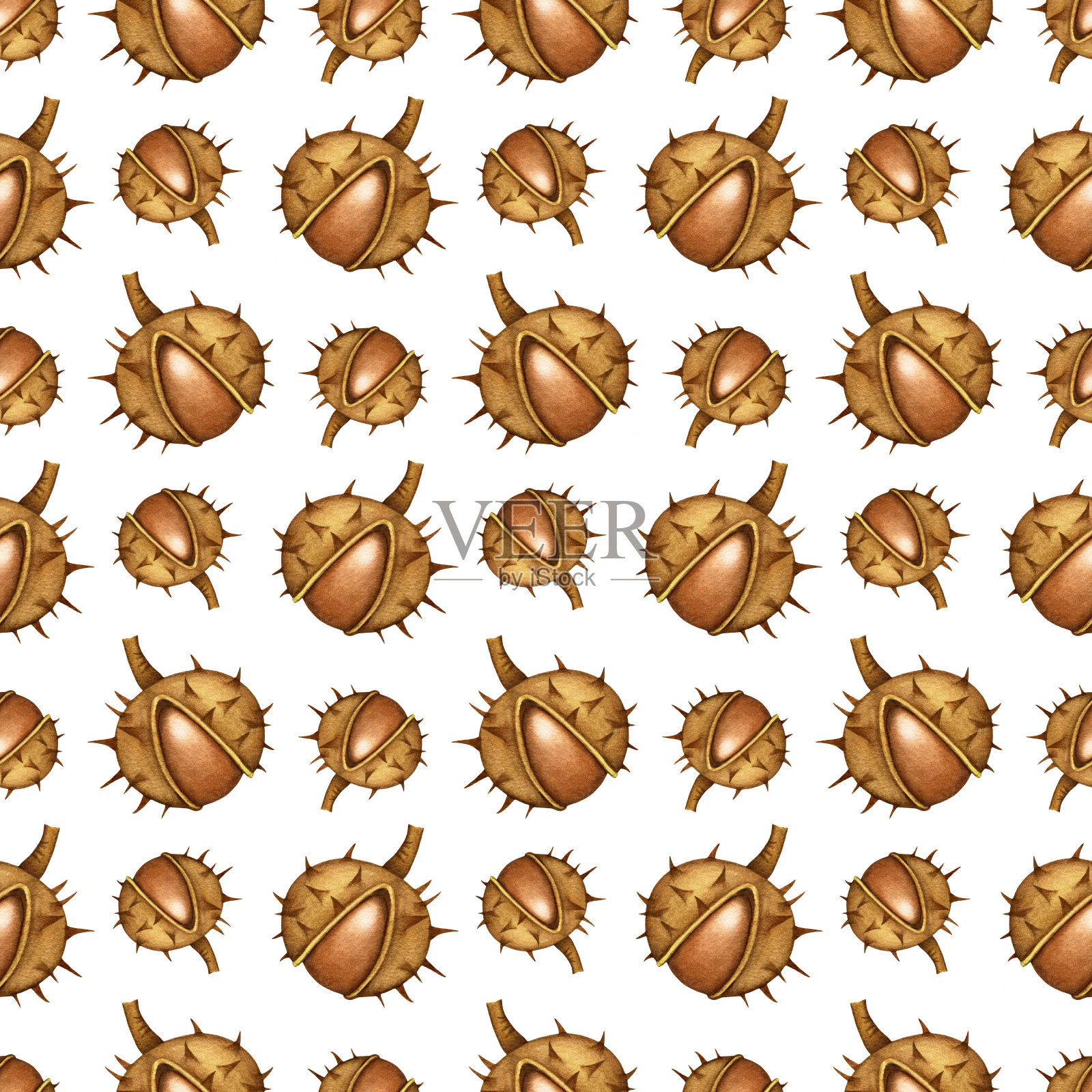 水彩秋天无缝图案与开放的棕色栗子。植物真实的背景与手绘秋季森林植物设计海报，纺织品，卡片，包装纸，剪贴簿插画图片素材