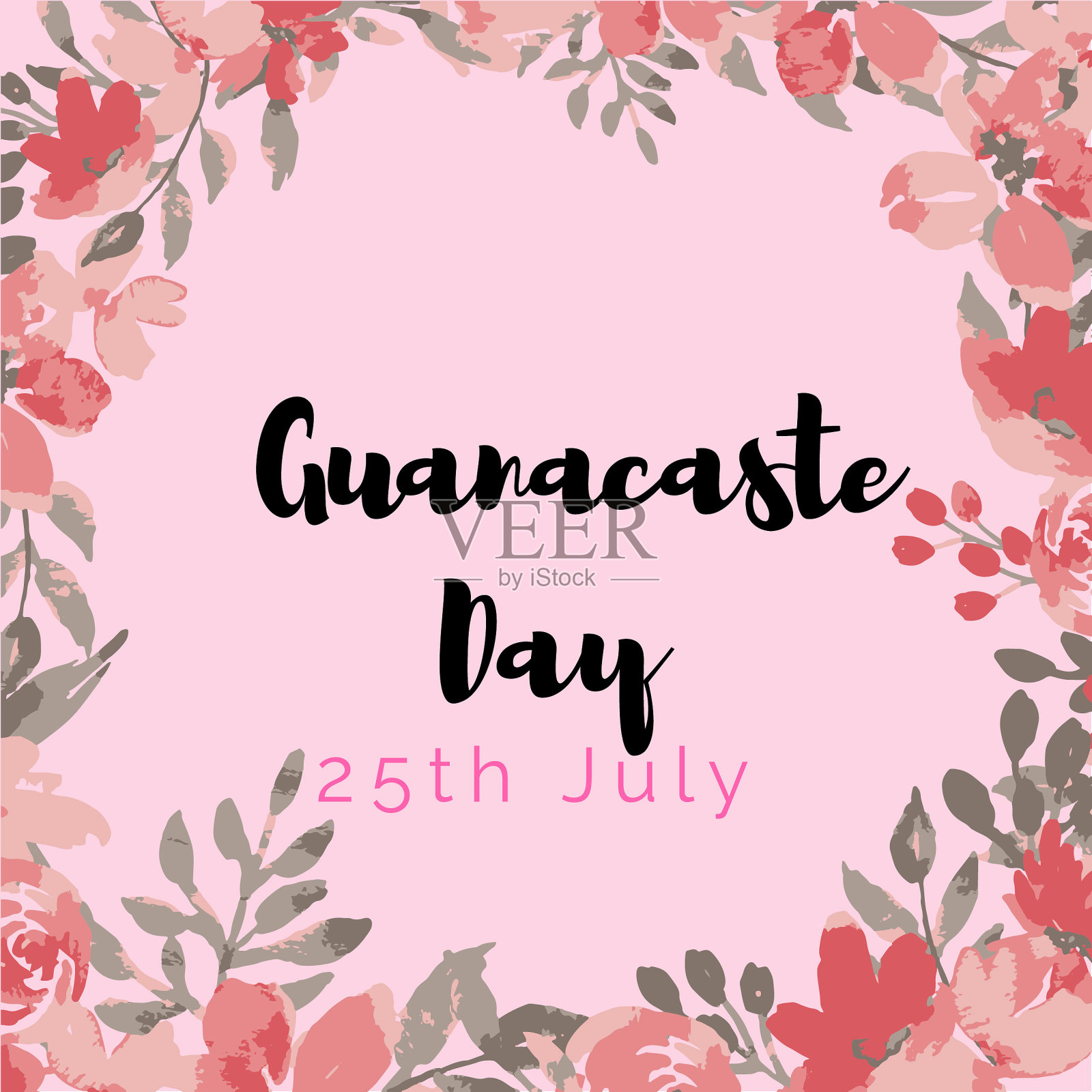 高那卡斯特日哥斯达黎加粉红色花海报插画图片素材