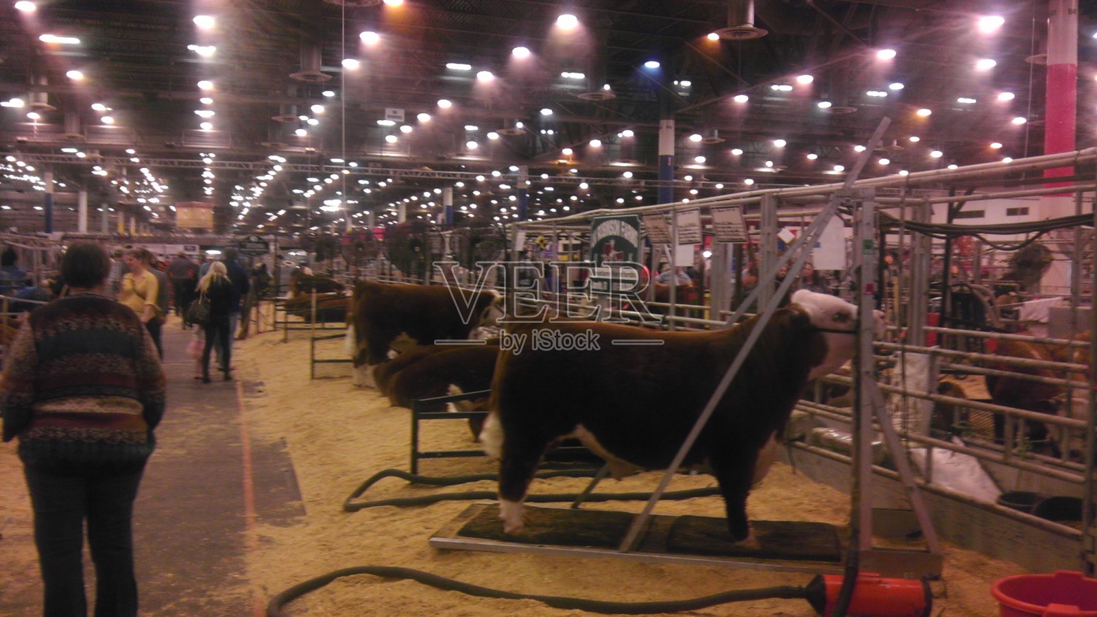 休斯敦牲畜和牛仔竞技会的马厩照片摄影图片