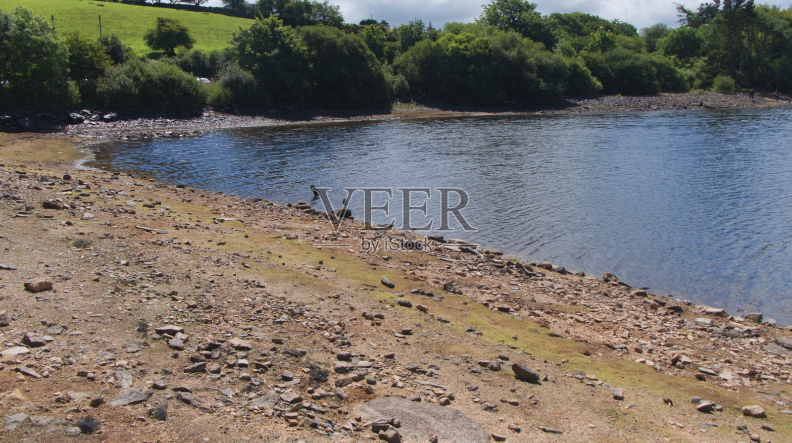 康沃尔郡博德明摩尔(Bodmin Moor Cornwall)的兄弟背湖(Siblyback lake / reservoir)，水位比平常的2020年7月低得多照片摄影图片