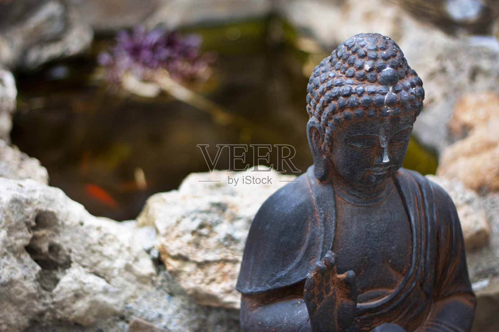 佛照片摄影图片