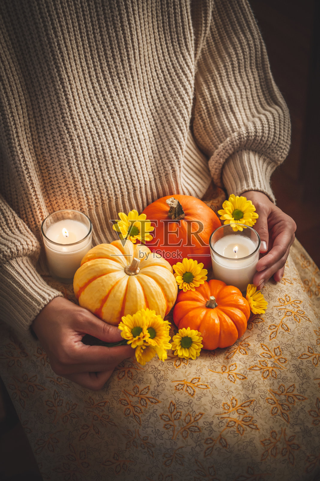 万圣节。秋天的形象。照片摄影图片