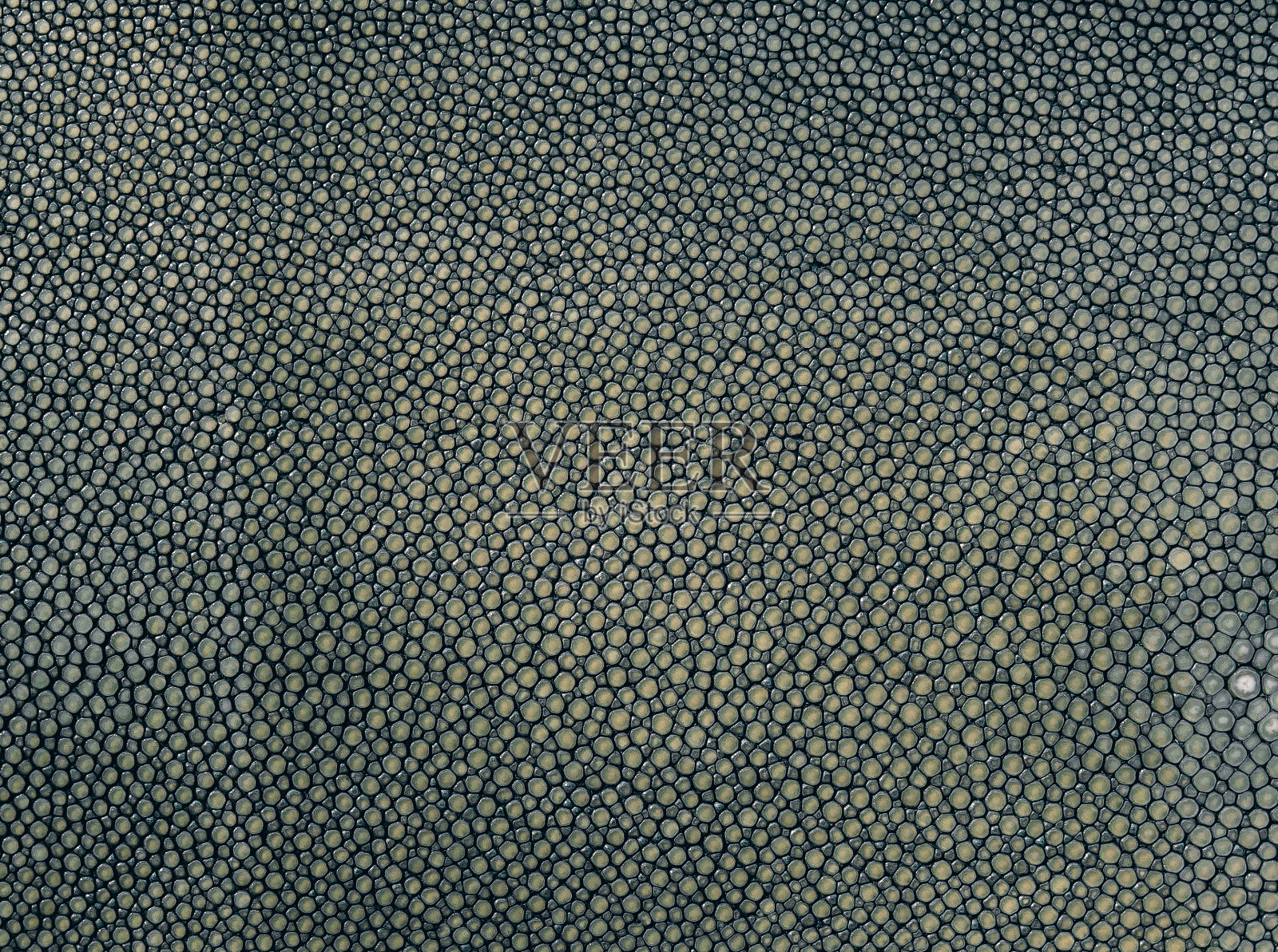 深绿色的电子束纹理照片摄影图片