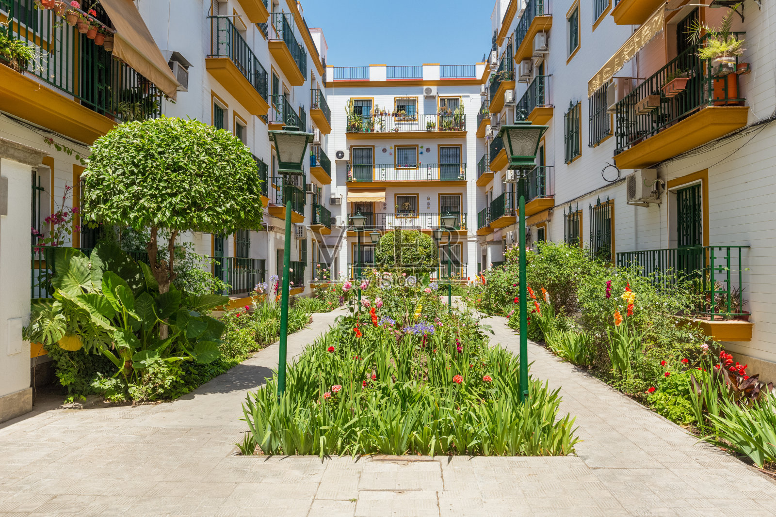 西班牙，塞维利亚-圣克鲁斯区照片摄影图片