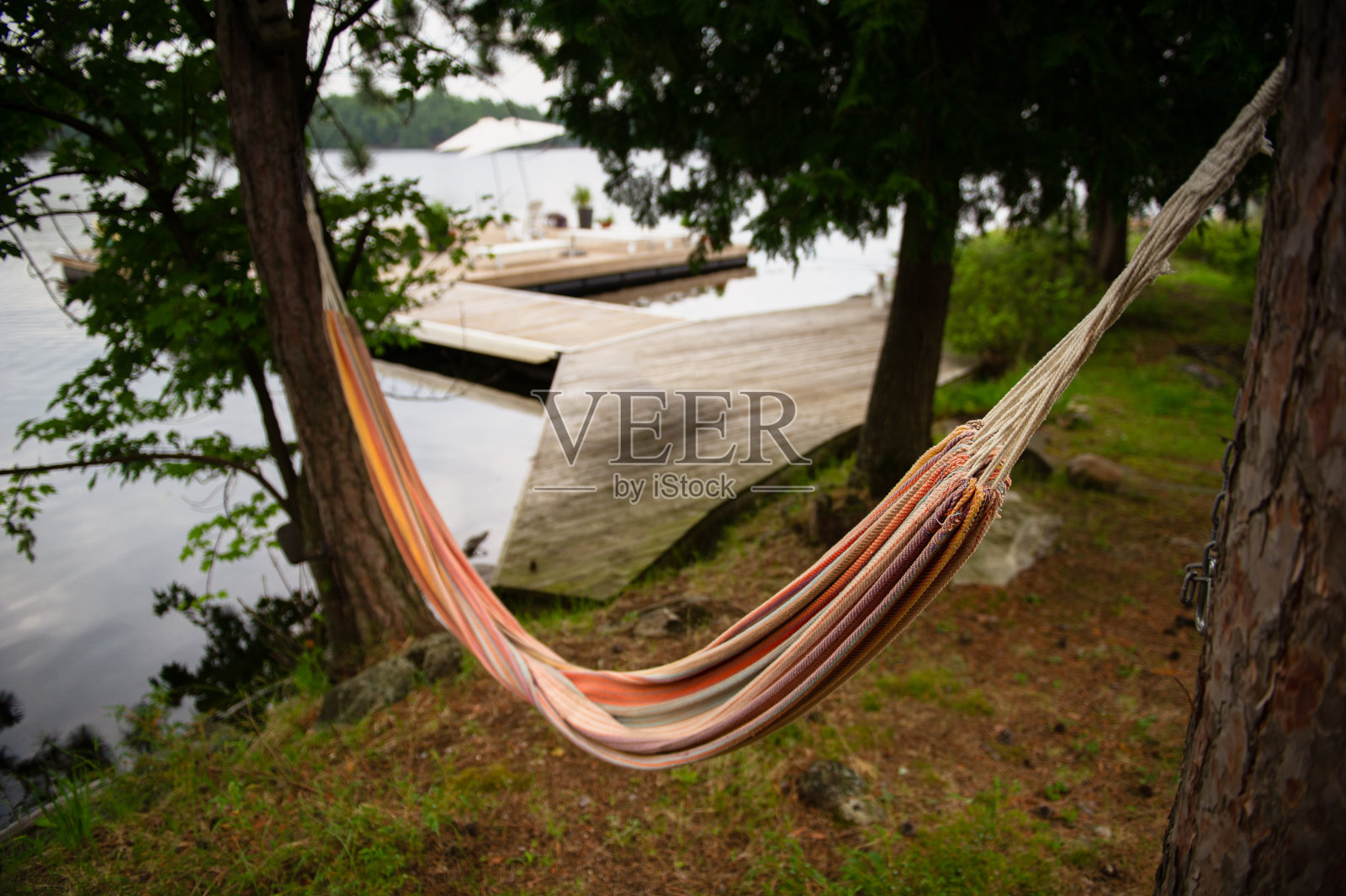 两棵树之间的空吊床，可以看到木制码头照片摄影图片