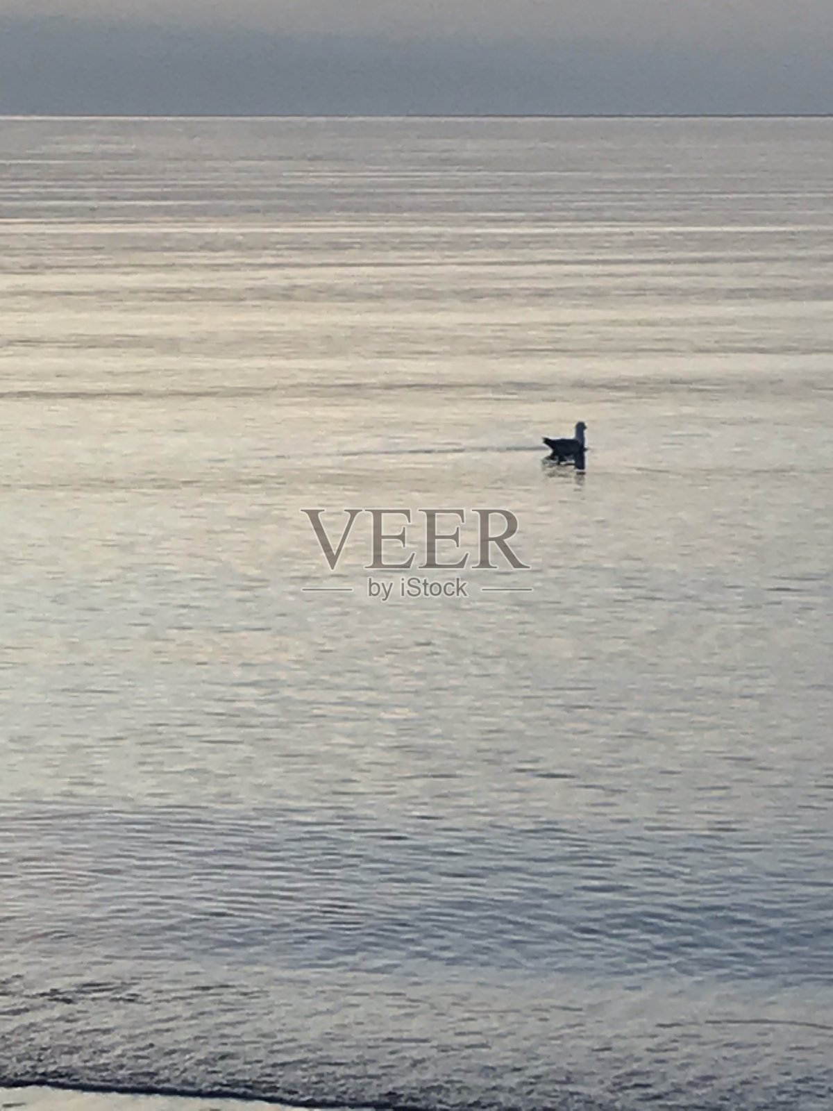 科罗纳假期 2020照片摄影图片