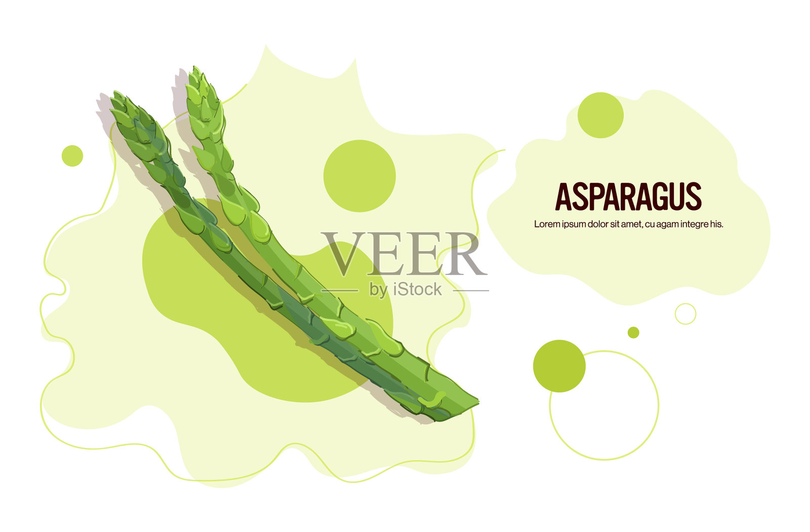 新鲜芦笋贴纸美味的蔬菜图标插画图片素材