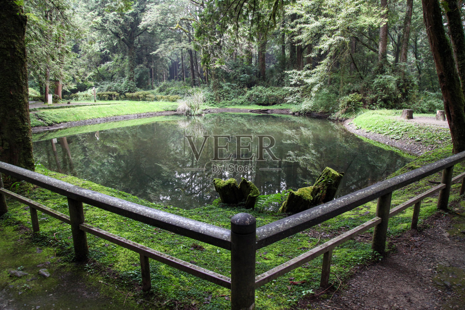 台湾阿里山公园内的河景。照片摄影图片