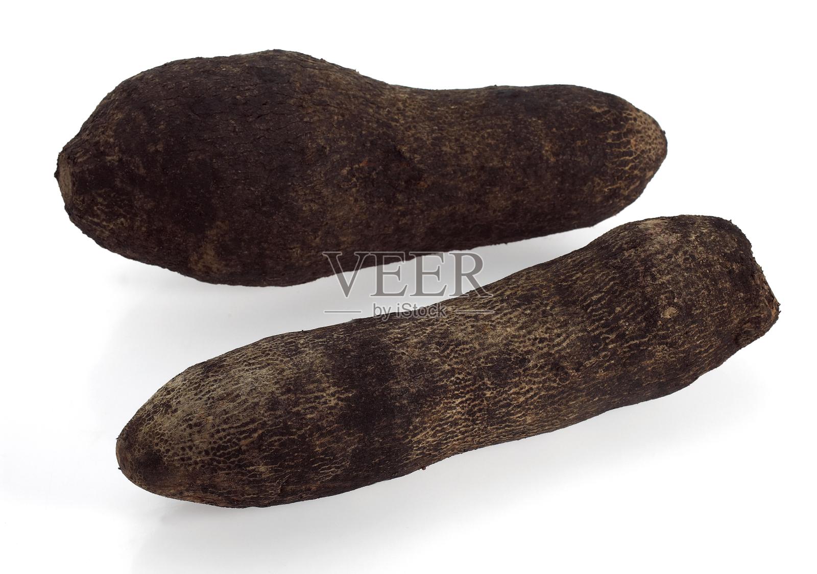 白底山药，山药属照片摄影图片