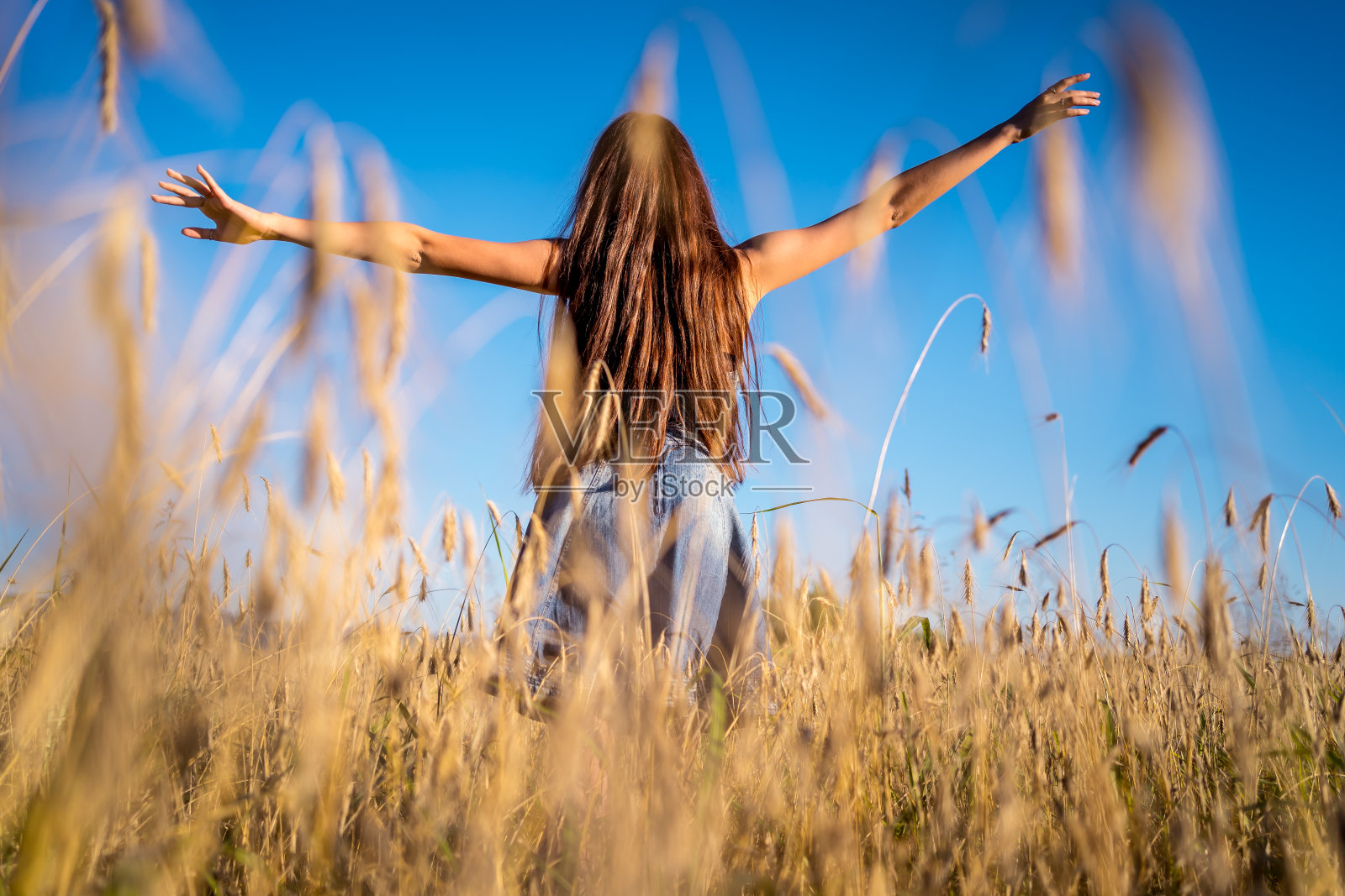 年轻女子喜欢在麦田里照片摄影图片