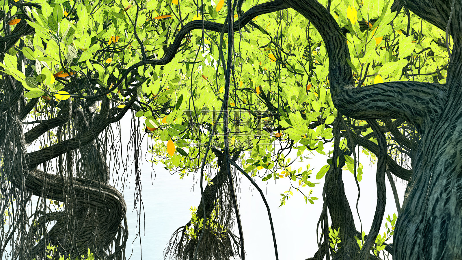 红色的红树林插画图片素材