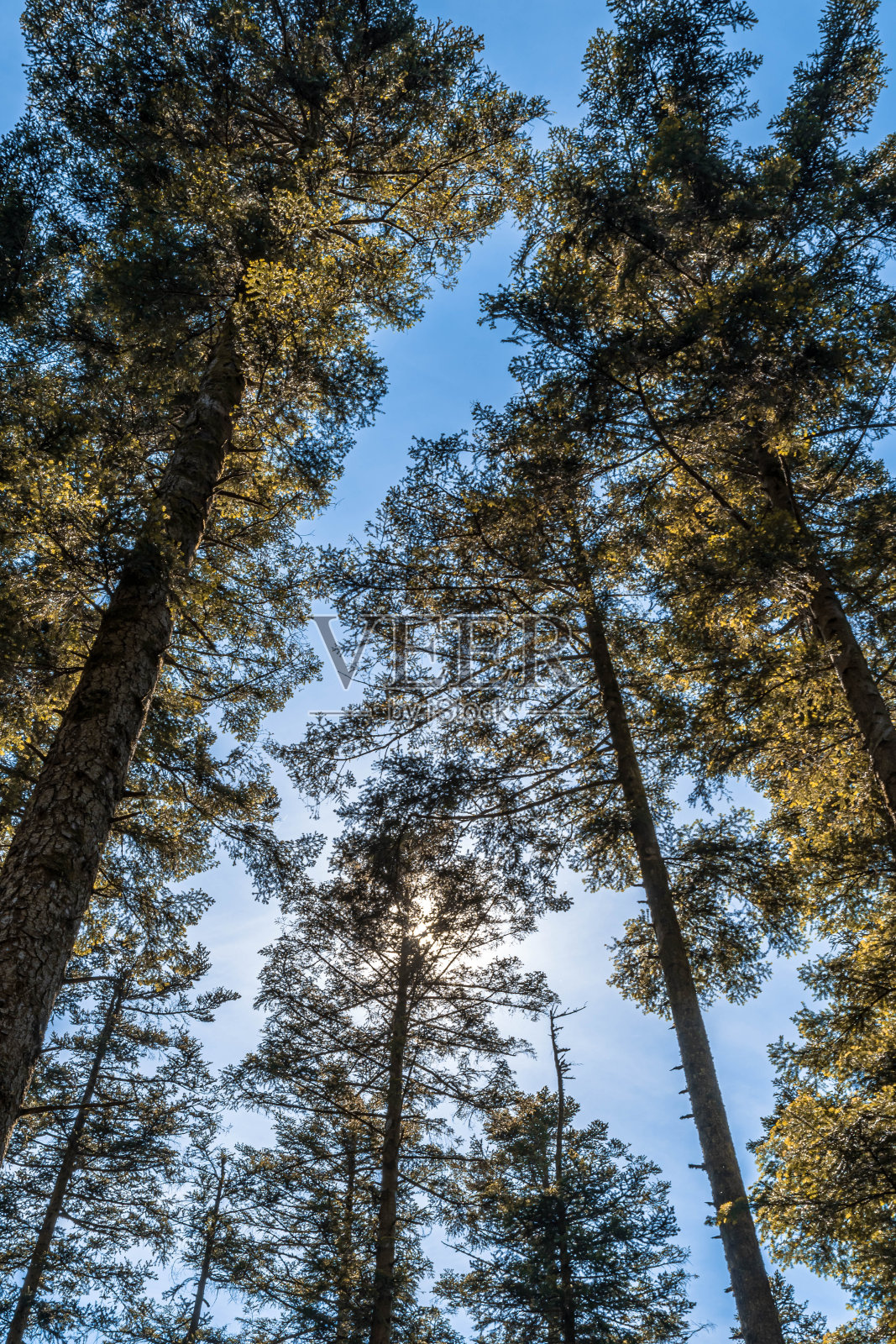 在国家公园徒步旅行照片摄影图片