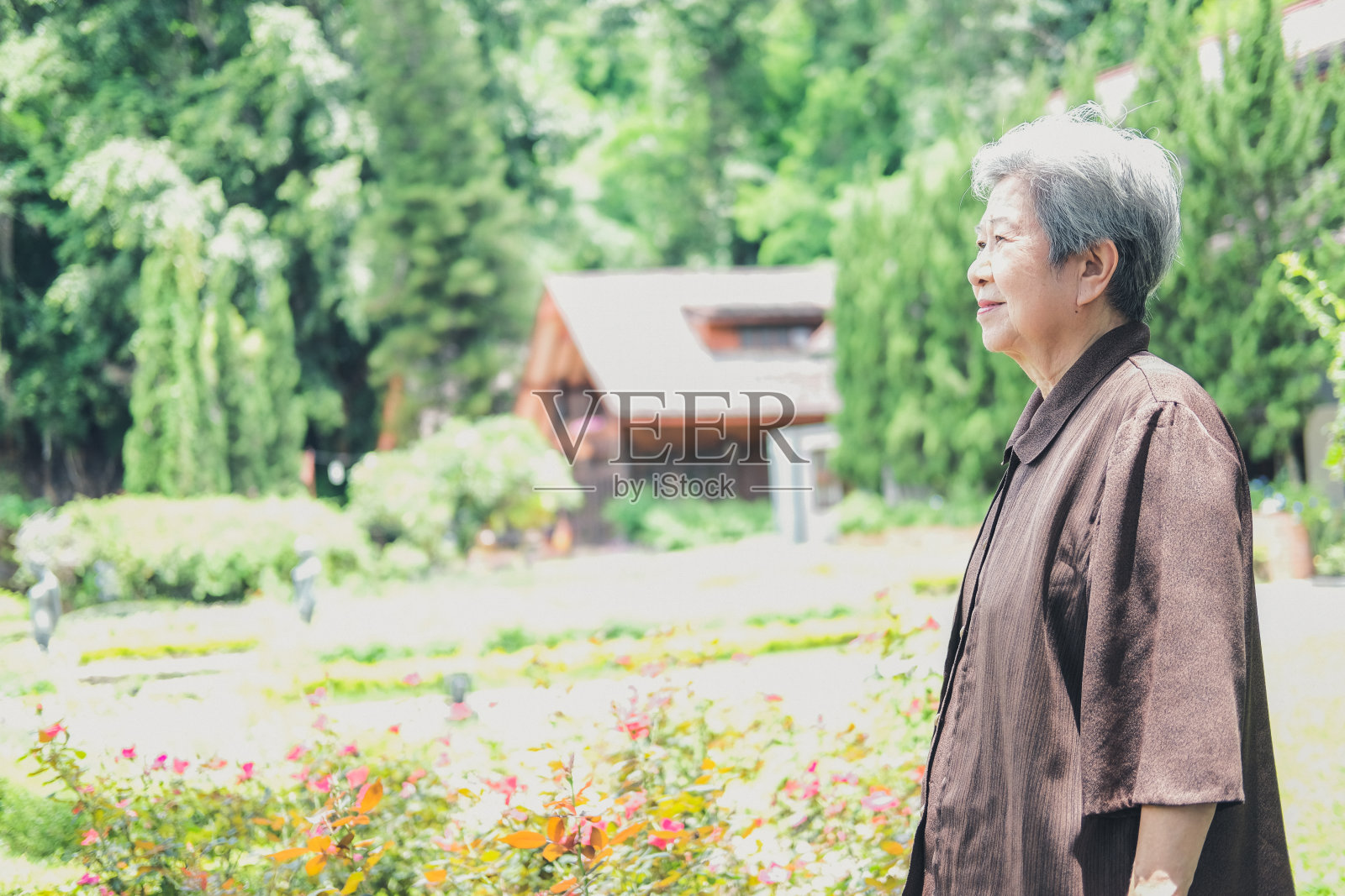 年老的女人在花园里休息。上了年纪的女性在户外放松。休闲生活方式照片摄影图片