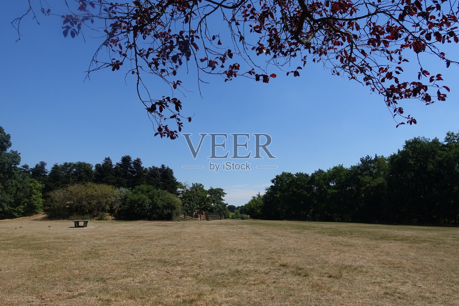 森林公园在Île-de-France照片摄影图片