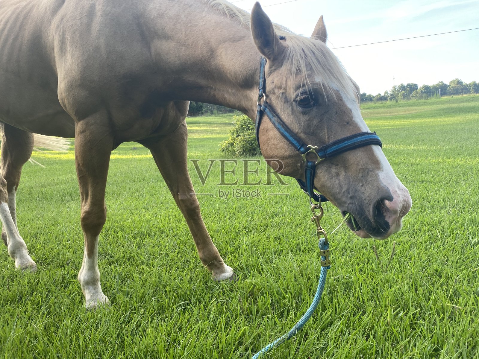 马克斯照片摄影图片