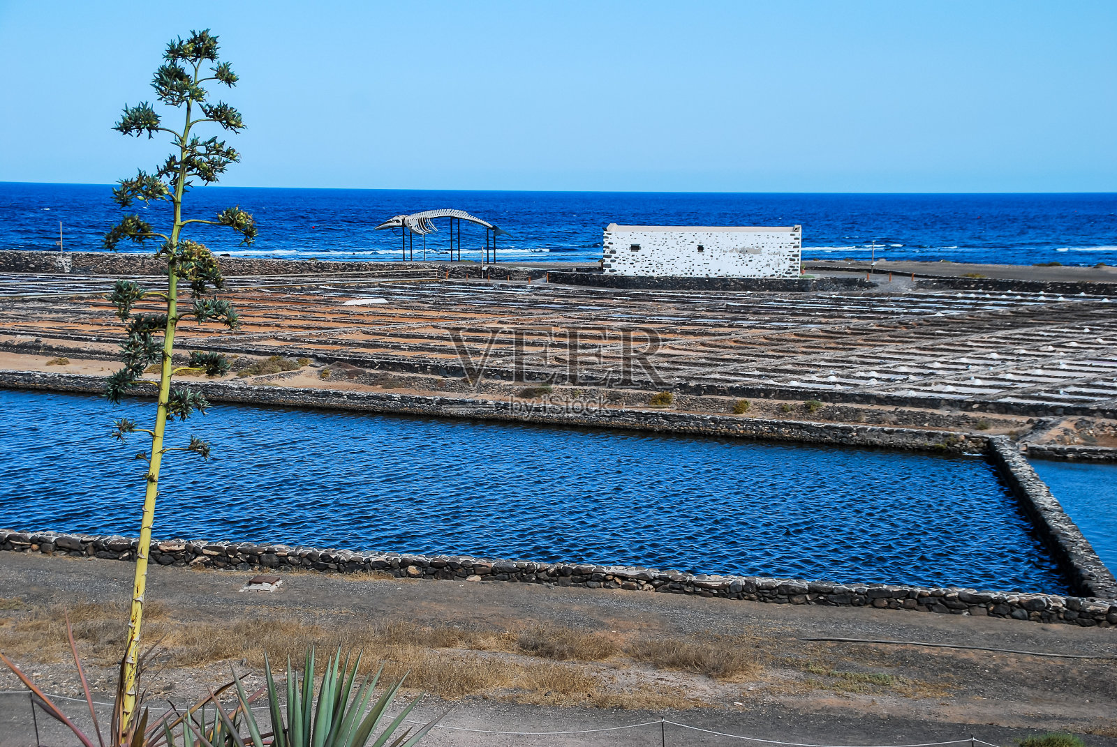 海滩和大海，数码照片图片作为背景照片摄影图片
