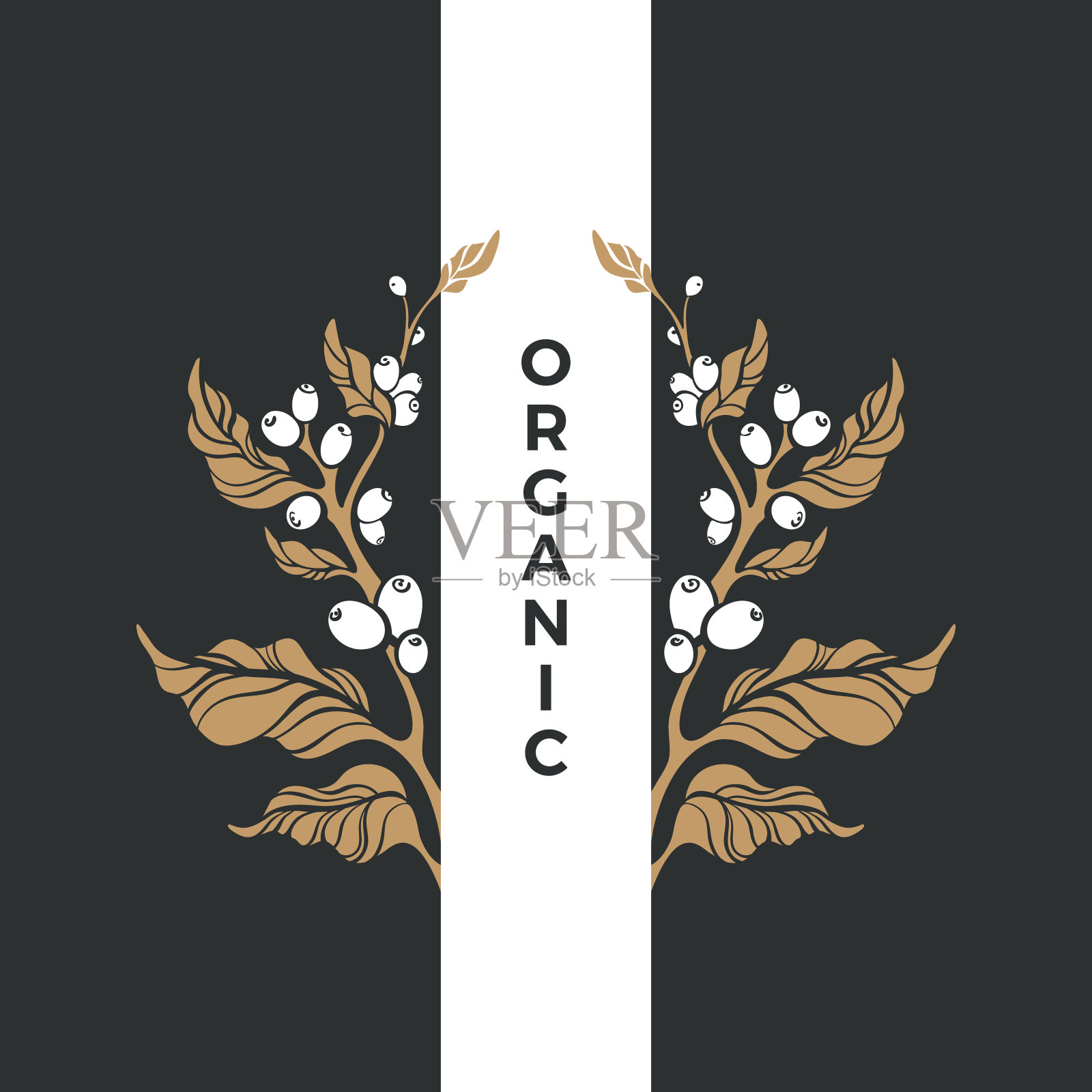 有机的象征。矢量艺术花园，生物种植园插画图片素材