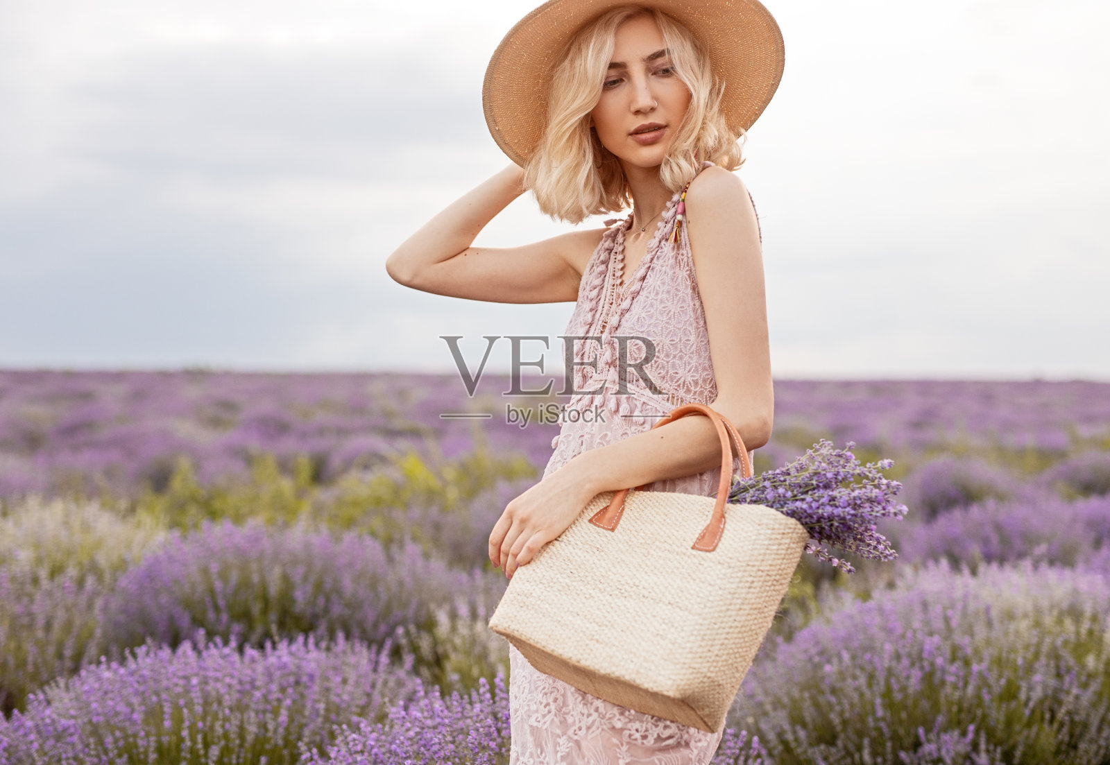 时尚的女人与包薰衣草田照片摄影图片