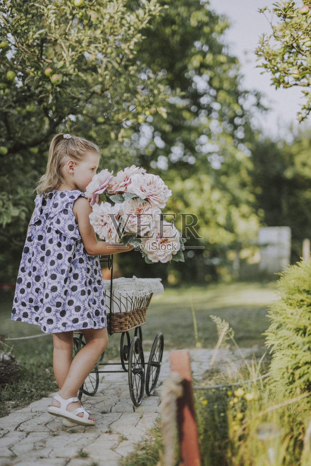 小女孩捧着一束粉红玫瑰，推着婴儿车里的娃娃，像妈妈一样照片摄影图片