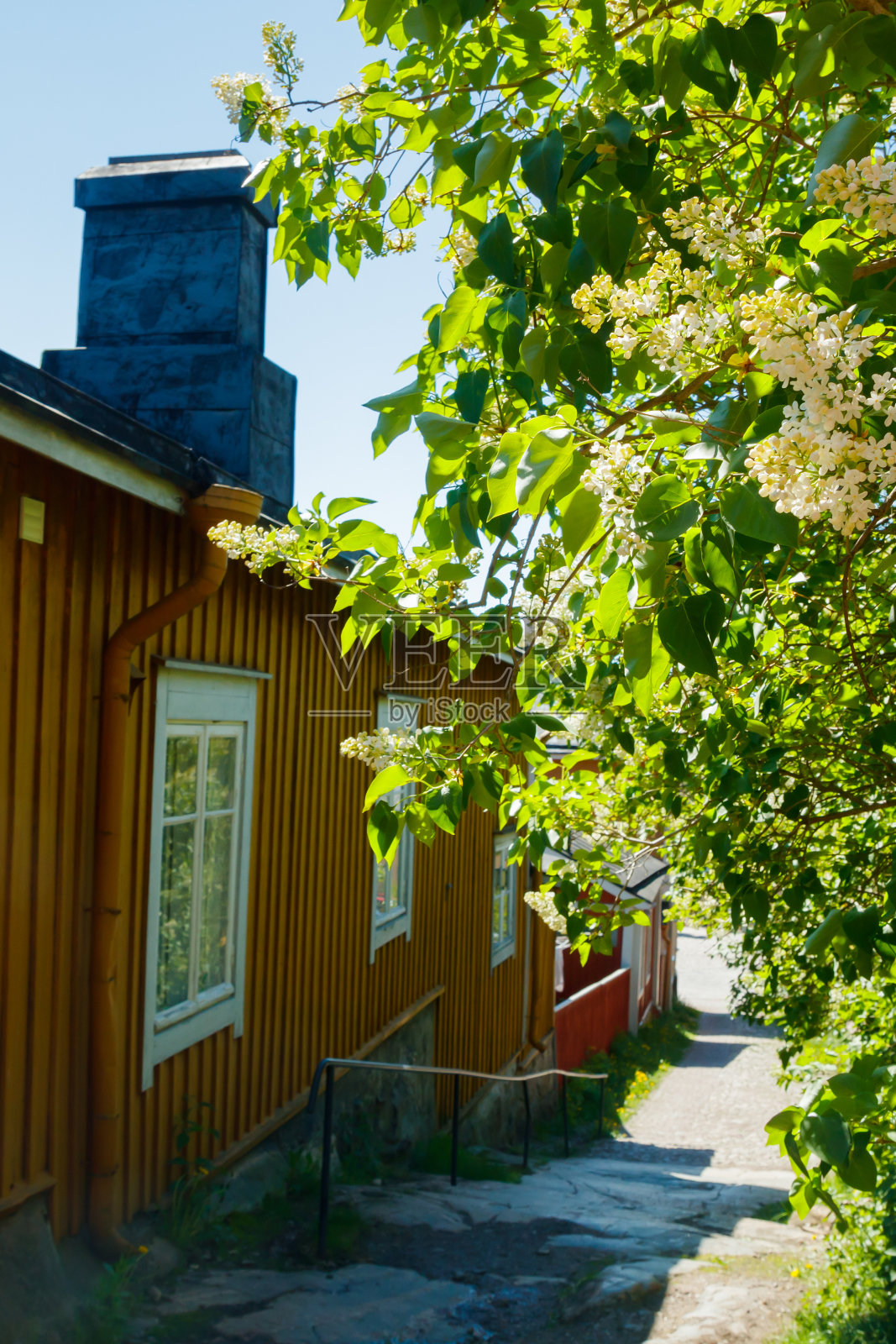 Porvoo古镇的美丽街道，古老的木屋和盛开的丁香照片摄影图片