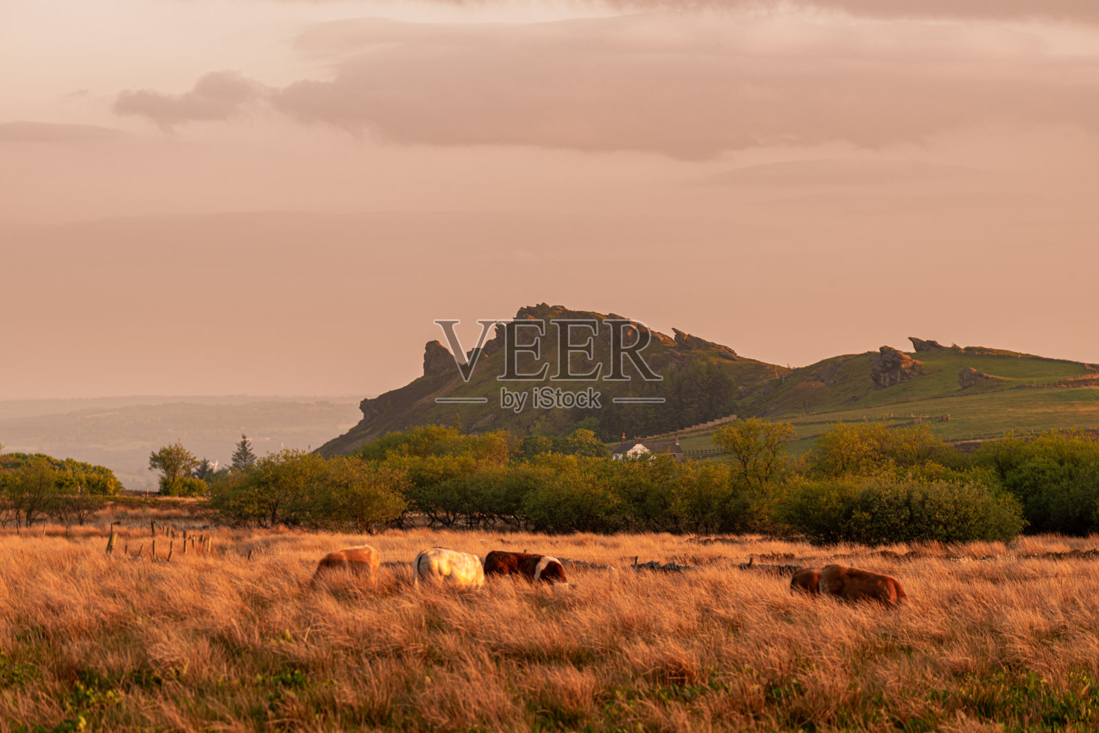 Gib Torr的全景，蟑螂在日落在山顶地区国家公园。照片摄影图片